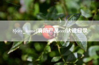 蓬莱消防产品cccf认证目录