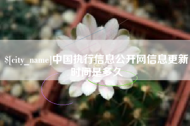 蓬莱中国执行信息公开网信息更新时间是多久
