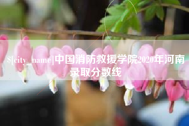 蓬莱中国消防救援学院2020年河南录取分数线
