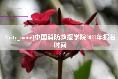 蓬莱中国消防救援学院2021年报名时间
