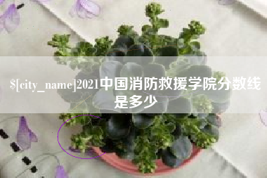 蓬莱2021中国消防救援学院分数线是多少