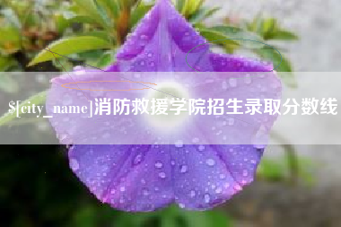 蓬莱消防救援学院招生录取分数线
