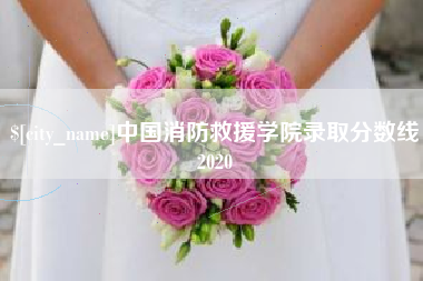 蓬莱中国消防救援学院录取分数线2020