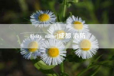 蓬莱成都 消防