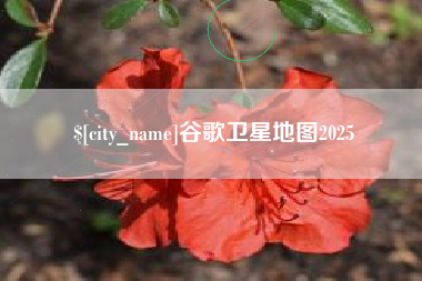 蓬莱谷歌卫星地图2025