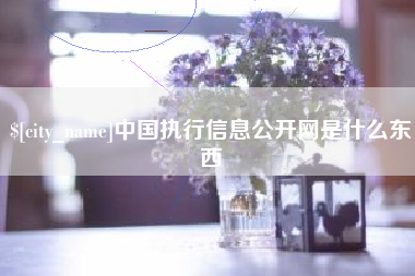 蓬莱中国执行信息公开网是什么东西