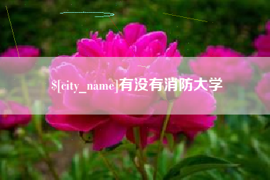 蓬莱有没有消防大学