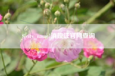 蓬莱消控证官网查询