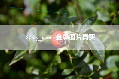 蓬莱金牌图片真实