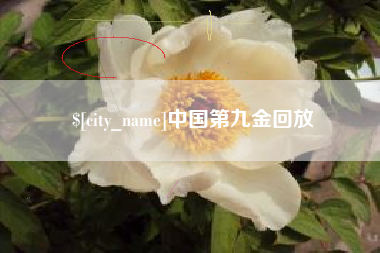 蓬莱中国第九金回放