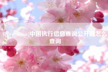 蓬莱中国执行信息查询公开网怎么查询