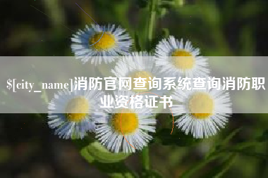 蓬莱消防官网查询系统查询消防职业资格证书