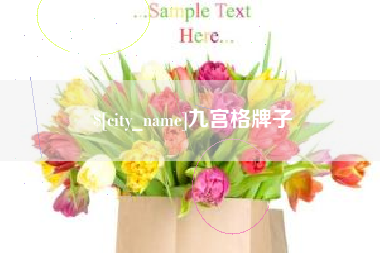 蓬莱九宫格牌子