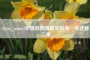 蓬莱中国消防救援学院是一本还是二本
