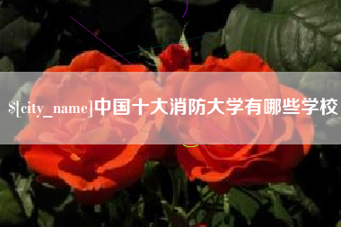 蓬莱中国十大消防大学有哪些学校