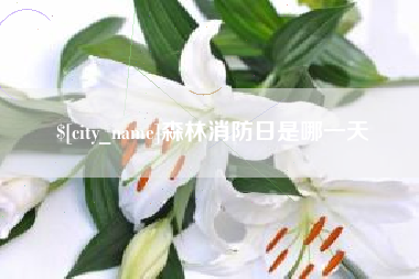 蓬莱森林消防日是哪一天