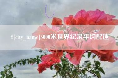 蓬莱5000米世界纪录平均配速