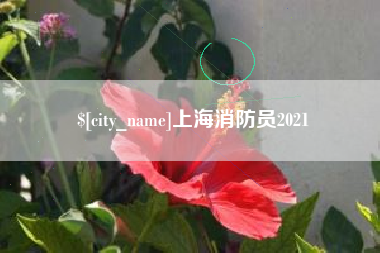 蓬莱上海消防员2021