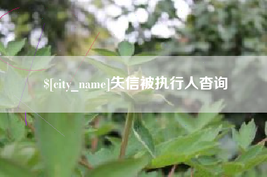 蓬莱失信被执行人杳询