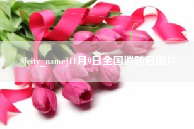蓬莱11月9日全国消防日图片