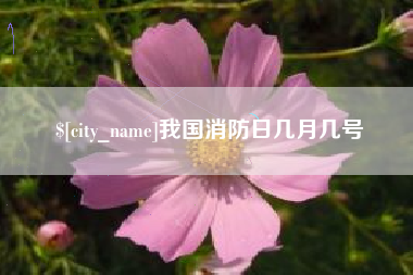蓬莱我国消防日几月几号