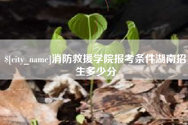 蓬莱消防救援学院报考条件湖南招生多少分
