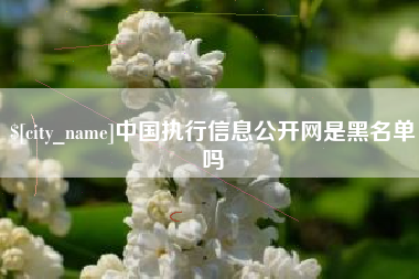 蓬莱中国执行信息公开网是黑名单吗