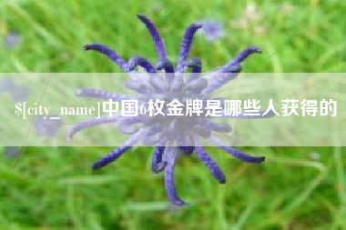 蓬莱中国6枚金牌是哪些人获得的