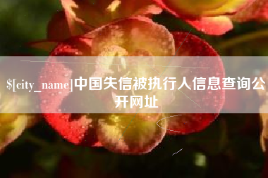 蓬莱中国失信被执行人信息查询公开网址