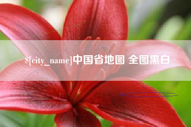 蓬莱中国省地图 全图黑白