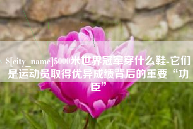蓬莱5000米世界冠军穿什么鞋-它们是运动员取得优异成绩背后的重要“功臣”