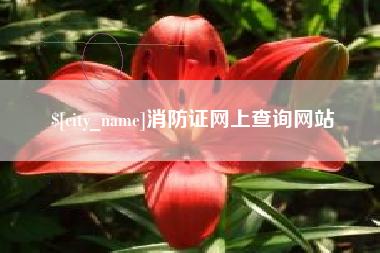 蓬莱消防证网上查询网站