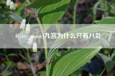 蓬莱九宫为什么只有八卦