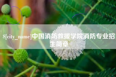 蓬莱中国消防救援学院消防专业招生简章
