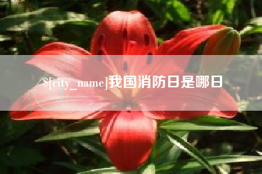 蓬莱我国消防日是哪日