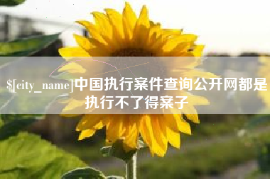 蓬莱中国执行案件查询公开网都是执行不了得案子