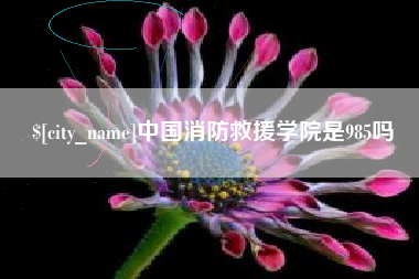 蓬莱中国消防救援学院是985吗