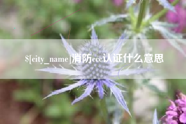 蓬莱消防ccc认证什么意思