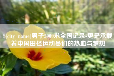 蓬莱男子5000米全国记录-更是承载着中国田径运动员们的热血与梦想