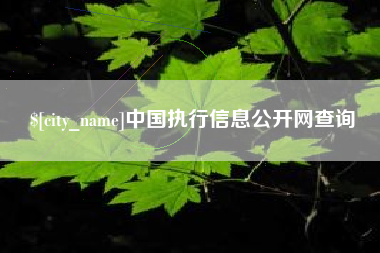 蓬莱中国执行信息公开网查询