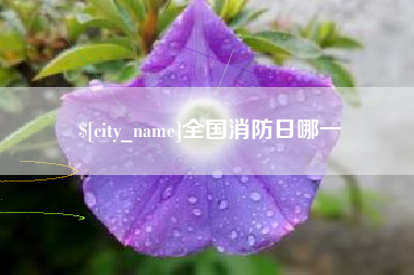 蓬莱全国消防日哪一
