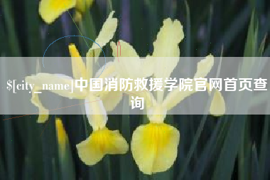 蓬莱中国消防救援学院官网首页查询