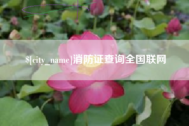 蓬莱消防证查询全国联网