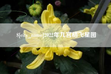 蓬莱2022年九宫格飞星图