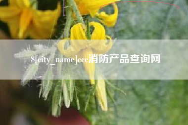 蓬莱ccc消防产品查询网