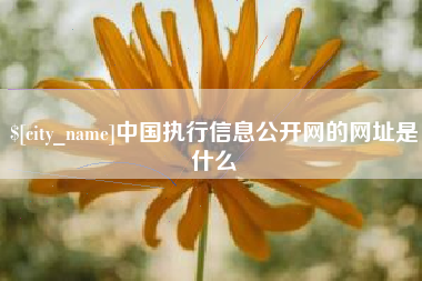 蓬莱中国执行信息公开网的网址是什么