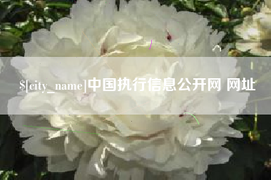 蓬莱中国执行信息公开网 网址