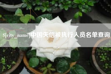 蓬莱中国失信被执行人员名单查询