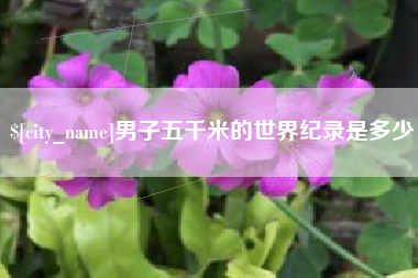 蓬莱男子五千米的世界纪录是多少