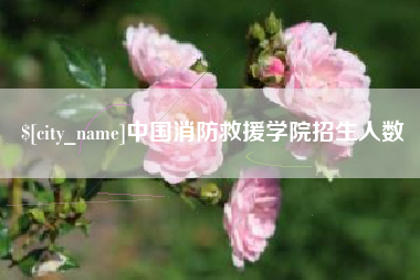 蓬莱中国消防救援学院招生人数